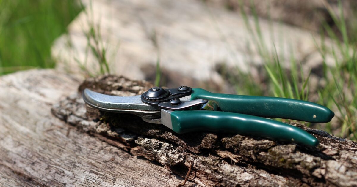 Landis ArboretumPlant Sales