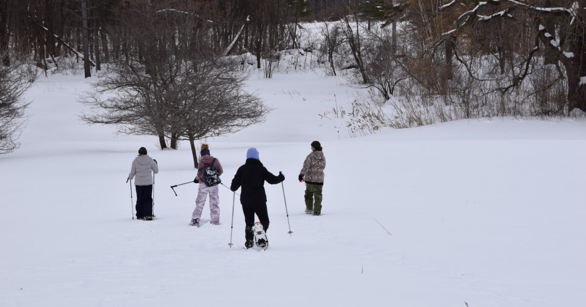 Landis ArboretumPlant Sales