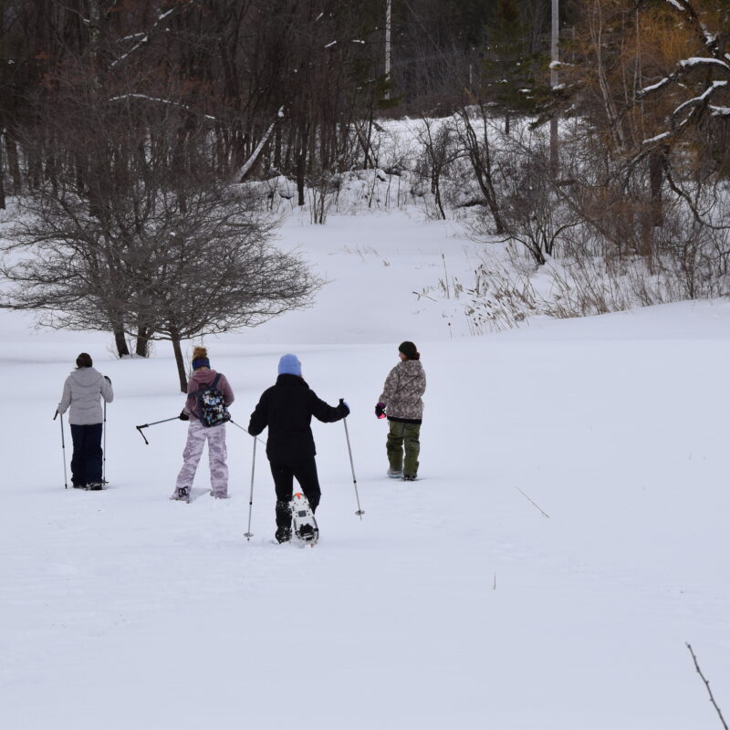 Landis ArboretumPlant Sales