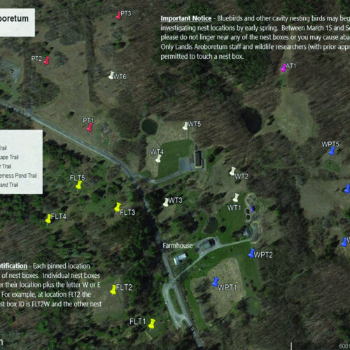 Landis Arboretum|Maps & Guides