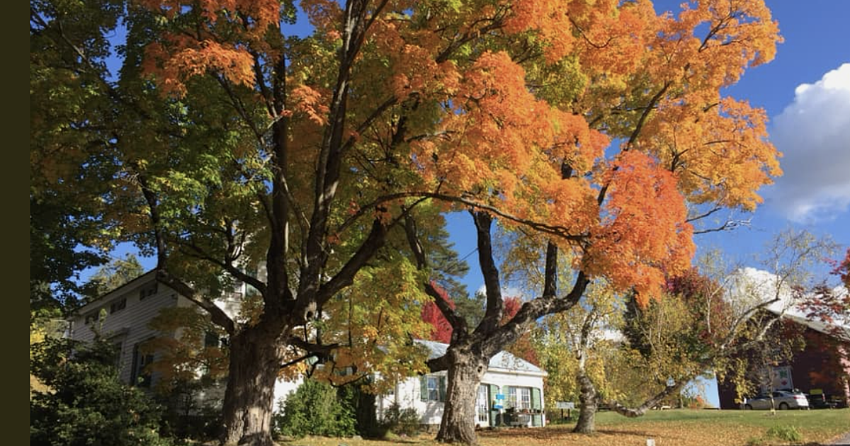 Landis ArboretumLandis Office Hours